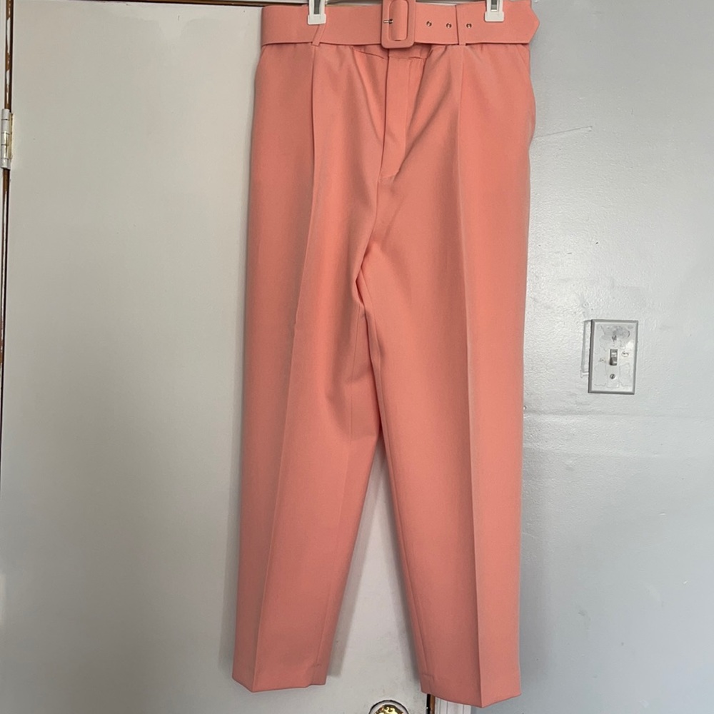 Zara belted pants